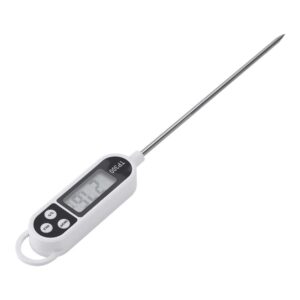Digital Pen Thermometer PT300